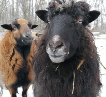 Raus geht’s: Umwelt und Natur in der Stadt erleben