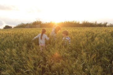 Children are playing in a grain field.