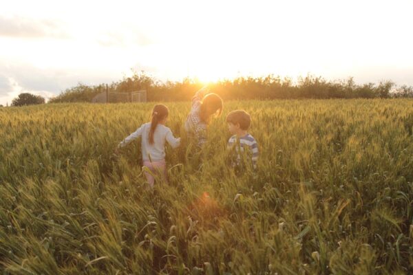 Children are playing in a grain field.